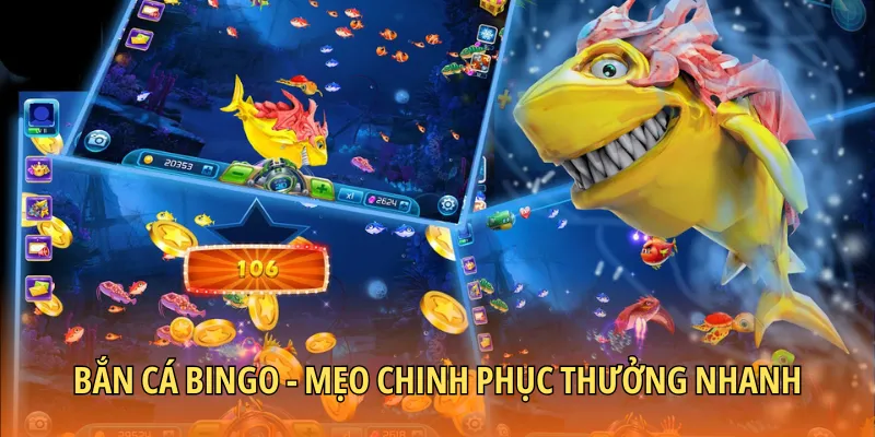 bắn cá Bingo