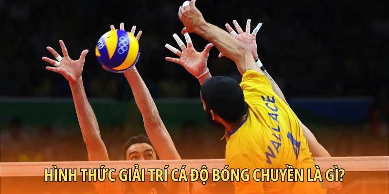 Hình thức giải trí cá độ bóng chuyền là gì?