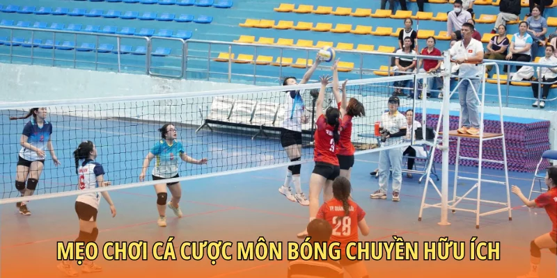 Mẹo chơi cá cược môn bóng chuyền hữu ích