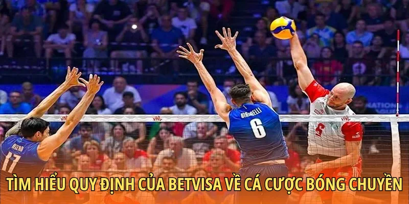 Tìm hiểu quy định của Betvisa về cá cược bóng chuyền