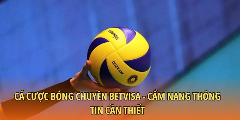 Cá cược bóng chuyền