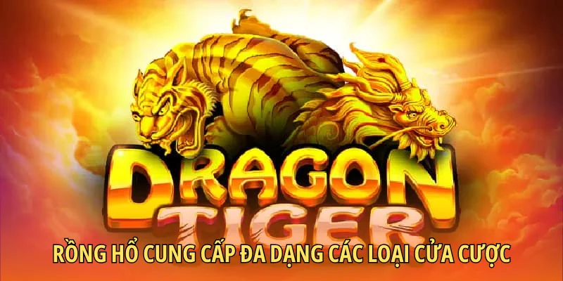 Rồng hổ cung cấp đa dạng các loại cửa cược