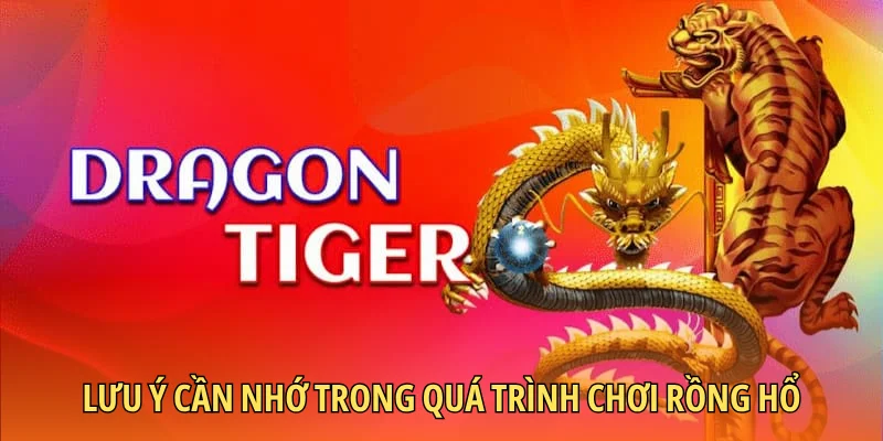 Lưu ý cần nhớ trong quá trình chơi rồng hổ