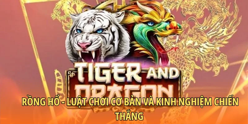 Rồng Hổ - Luật Chơi Cơ Bản Và Kinh Nghiệm Chiến Thắng