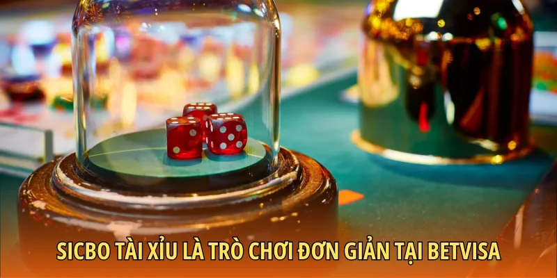 Sicbo tài xỉu là trò chơi đơn giản tại BETVISA