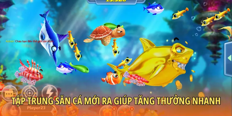 Tập trung săn cá mới ra giúp tăng thưởng nhanh chóng