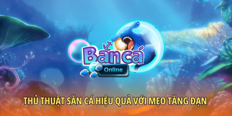 Thủ thuật săn cá hiệu quả với mẹo tăng đạn dễ áp dụng
