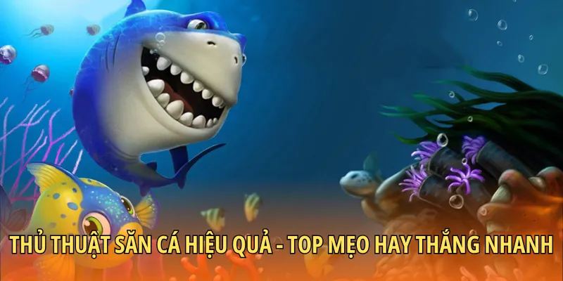 thủ thuật săn cá hiệu quả